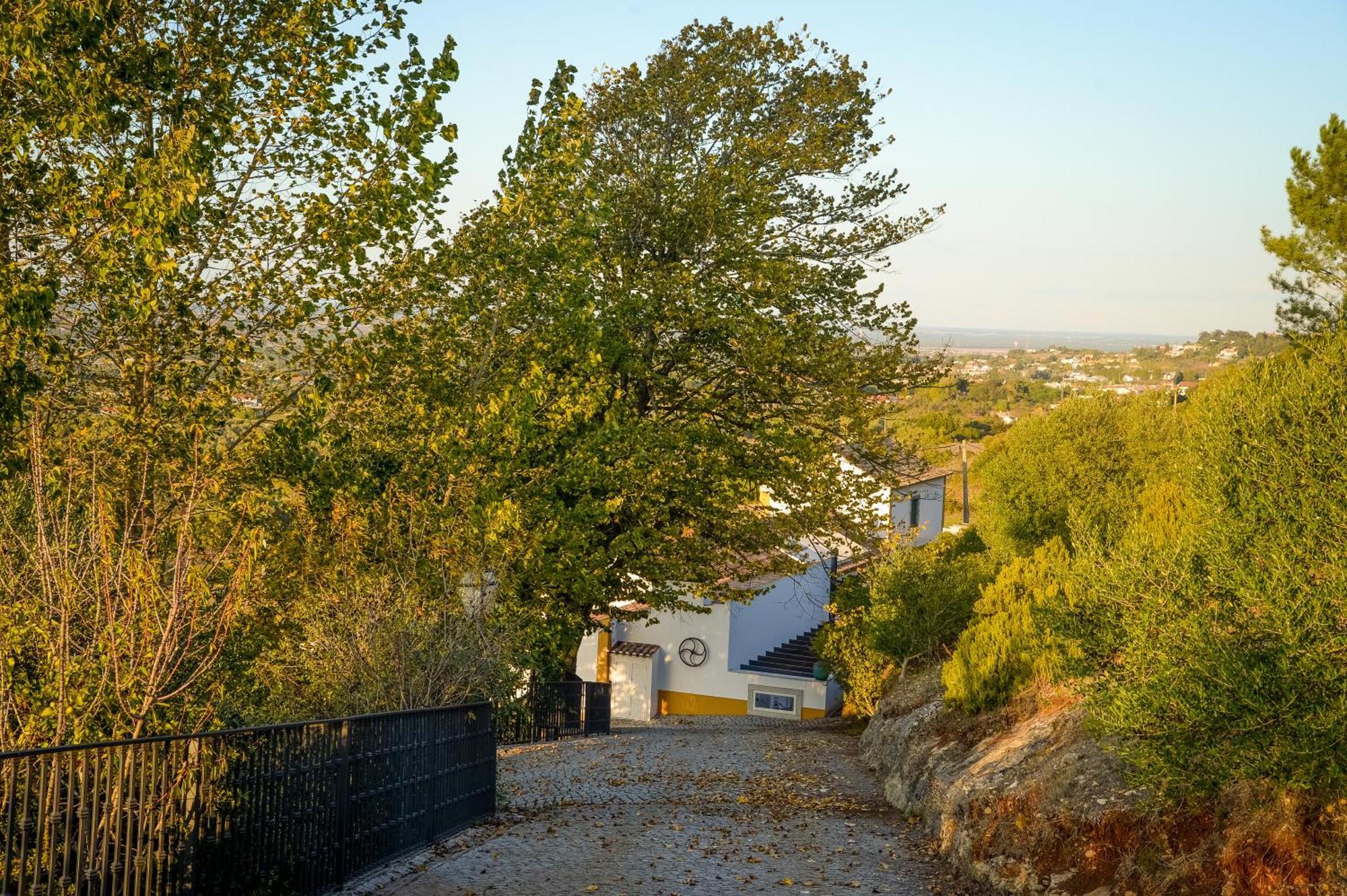 Quinta Do Louro Guest House Palmela Exterior photo